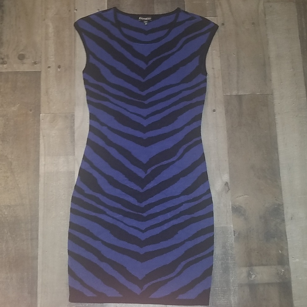 Express sweater dress